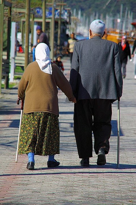 KOCA ÇINARLAR