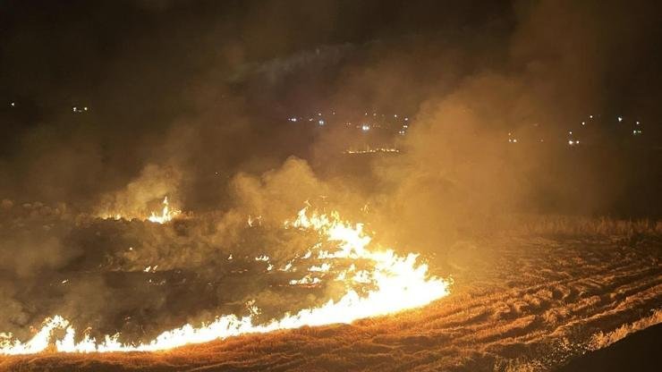 Şanlıurfa'da hasat sonrası tarlalarında anız yakan 303 kişi, toplam 21