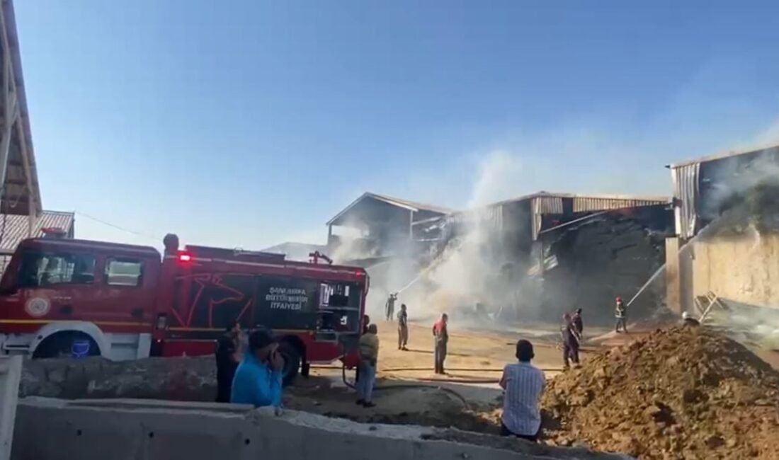 Şanlıurfa'da bir hayvan çiftliğinde yangın çıktı. Olay, bölgede büyük tedirginliğe