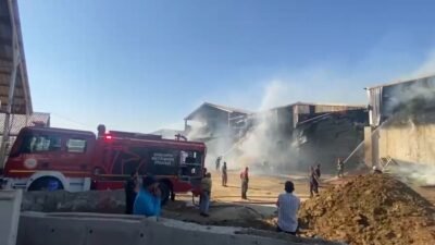 Şanlıurfa'da bir hayvan çiftliğinde yangın çıktı. Olay, bölgede büyük tedirginliğe