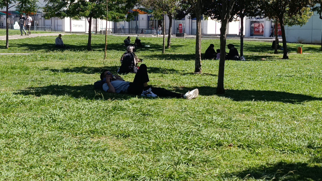 Şanlıurfa'da Termometreler 48 Dereceyi Gösterdi: Kentte Hayat Durma Noktasına Geldi.