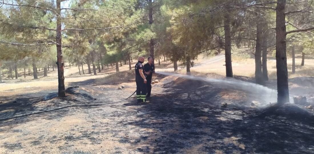 Şanlıurfa'nın Karaköprü ilçesine bağlı Güllübağ Mahallesi'ndeki ormanlık alanda henüz belirlenemeyen