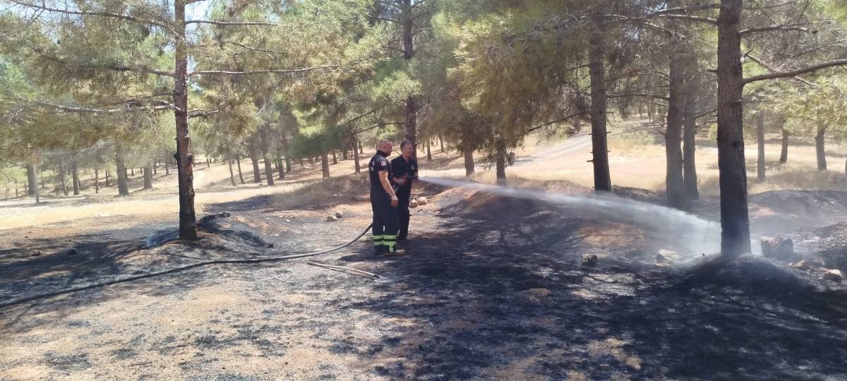 Şanlıurfa'nın Karaköprü ilçesine bağlı Güllübağ Mahallesi'ndeki ormanlık alanda henüz belirlenemeyen